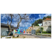 Enlarge photo 233