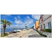 Enlarge photo 239