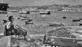 Enlarge photo 246