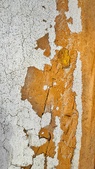 Enlarge photo 251