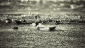 Enlarge photo 255