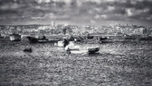 Enlarge photo 254