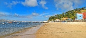 Enlarge photo 257