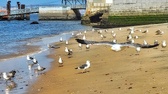 Enlarge photo 259