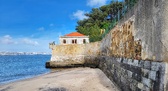 Enlarge photo 264