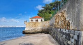 Enlarge photo 263