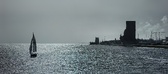Enlarge photo 277