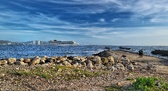 Enlarge photo 283