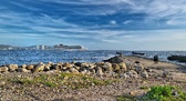 Enlarge photo 282
