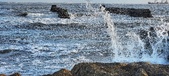 Enlarge photo 291