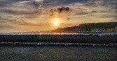 Enlarge photo 292