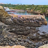 Enlarge photo 310