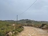 Enlarge photo 142