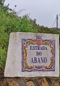 Enlarge photo 152
