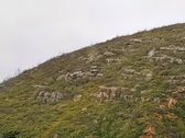 Enlarge photo 148