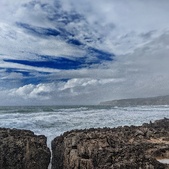 Enlarge photo 309