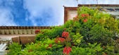 Enlarge photo 77