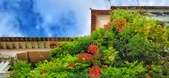 Enlarge photo 78