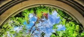 Enlarge photo 79