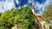 Enlarge photo 82