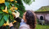 Enlarge photo 84
