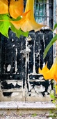 Enlarge photo 86