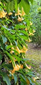 Enlarge photo 87