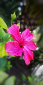 Enlarge photo 95