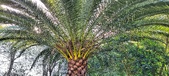 Enlarge photo 97