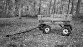 Enlarge photo 173