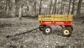 Enlarge photo 176