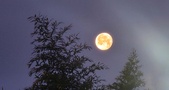 Enlarge photo 189