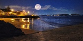 Enlarge photo 195