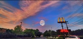 Enlarge photo 349