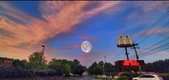 Enlarge photo 346