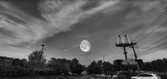 Enlarge photo 351