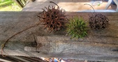 Enlarge photo 373