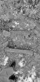Enlarge photo 431