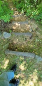 Enlarge photo 513