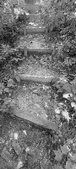 Enlarge photo 432