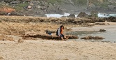 Enlarge photo 41
