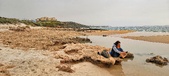 Enlarge photo 42