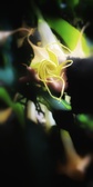 Enlarge photo 91