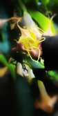 Enlarge photo 90