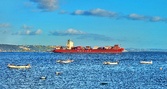 Enlarge photo 99
