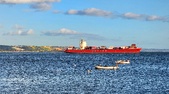 Enlarge photo 100