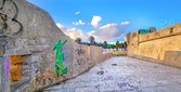 Enlarge photo 110