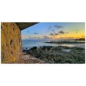 Enlarge photo 128