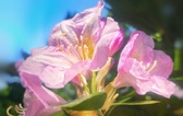 Enlarge photo 180