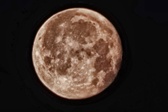 Enlarge photo 190